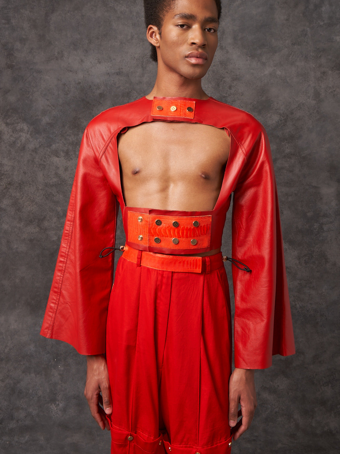 Jupiter Leather Harness