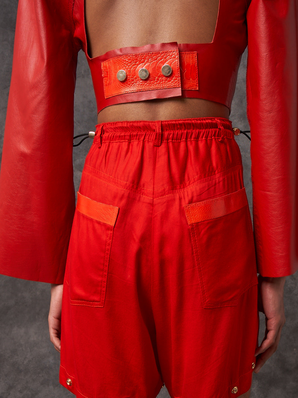 Jupiter Leather Harness