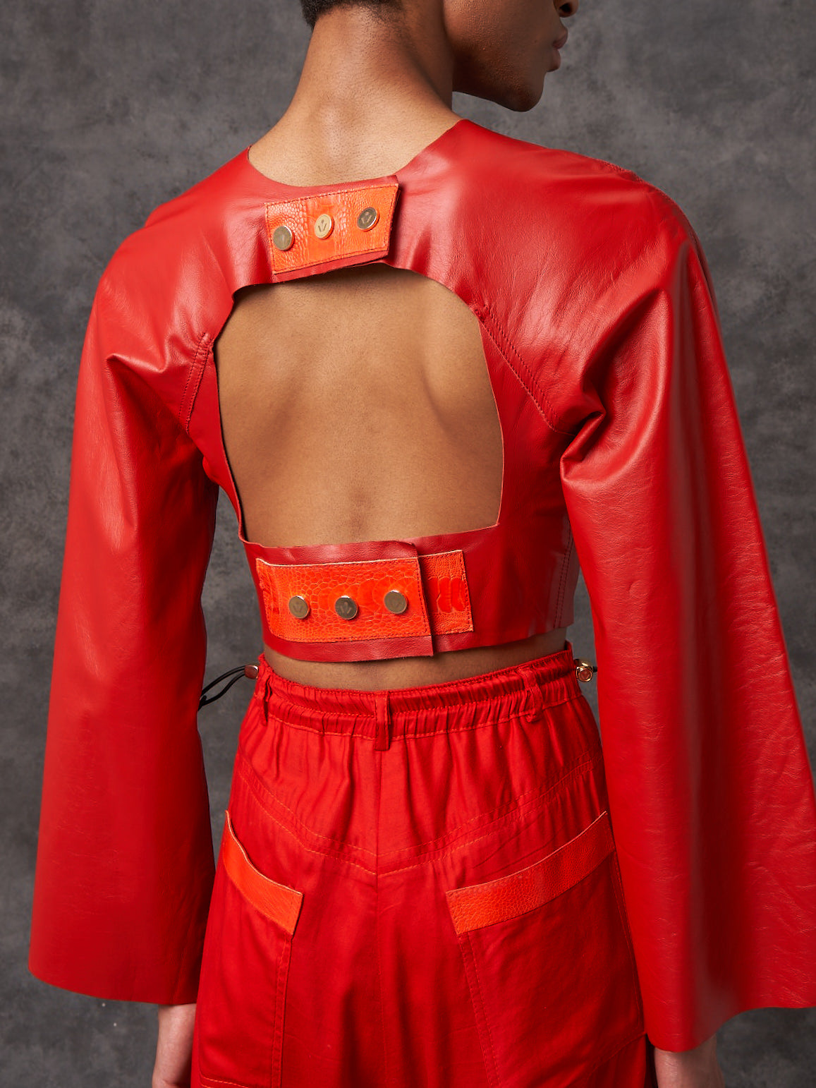 Jupiter Leather Harness