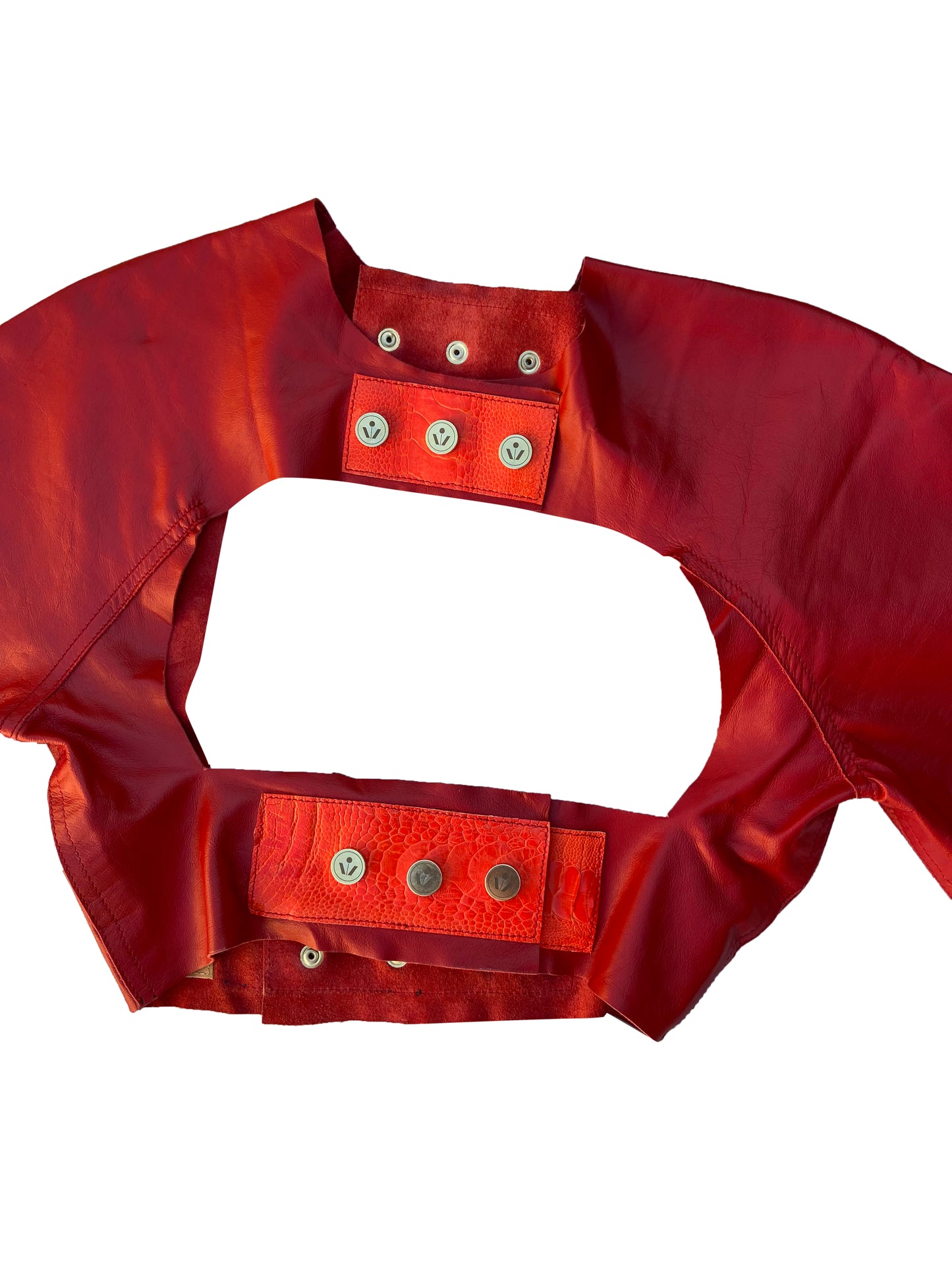 Jupiter Leather Harness