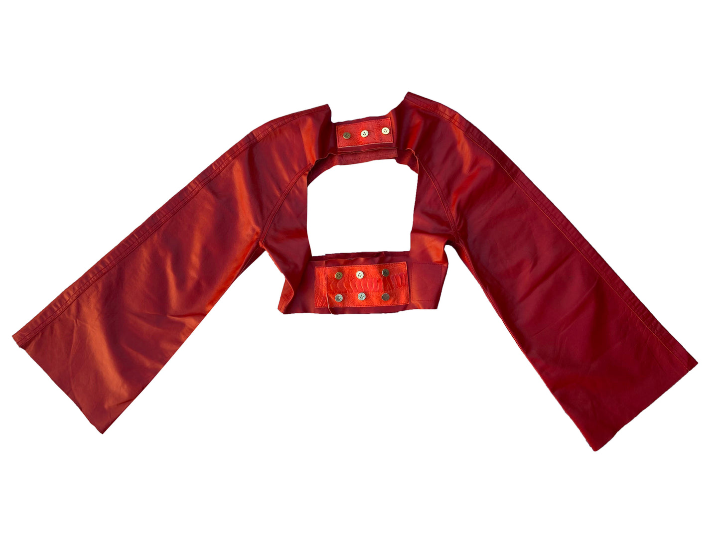 Jupiter Leather Harness