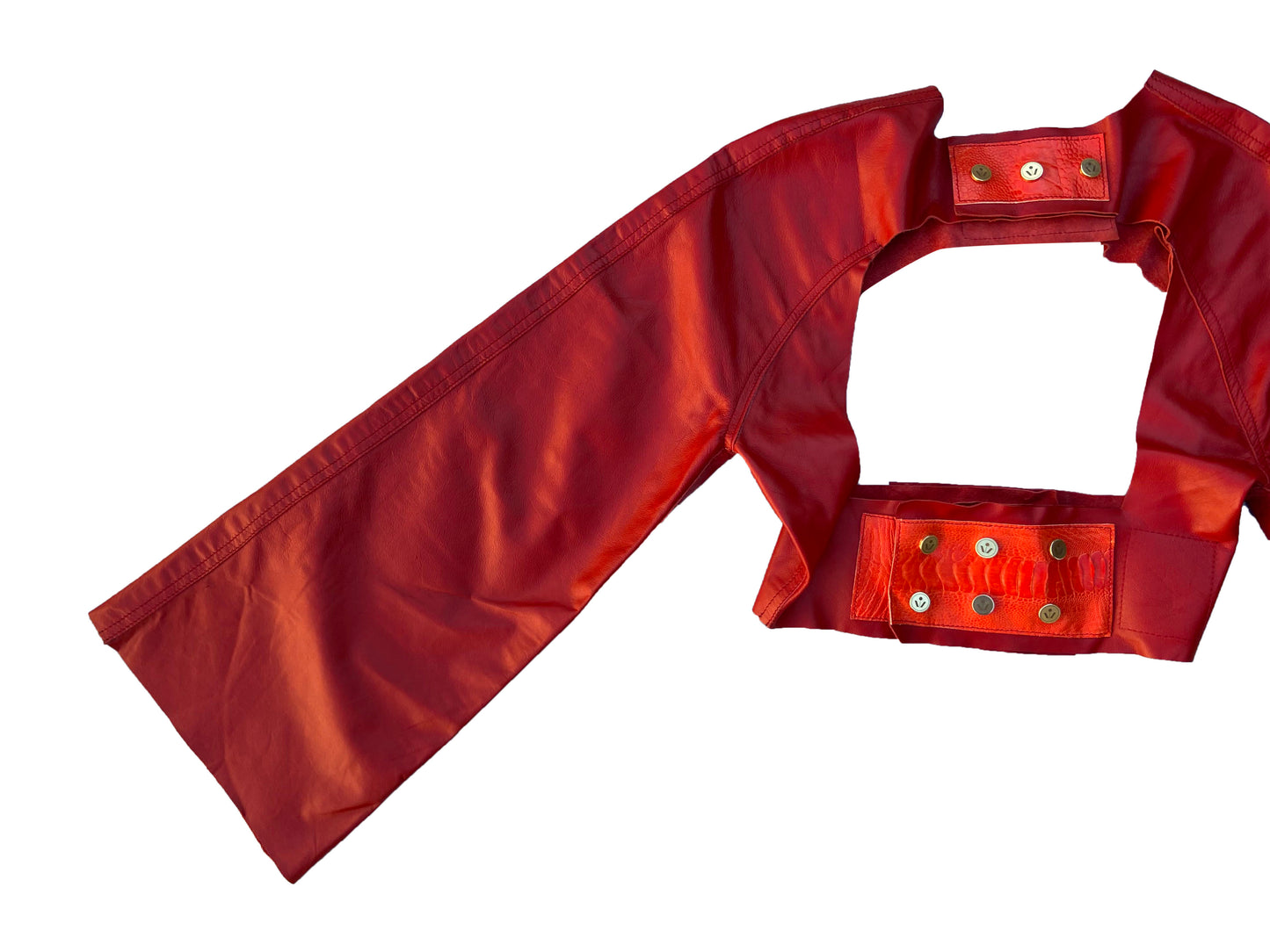 Jupiter Leather Harness