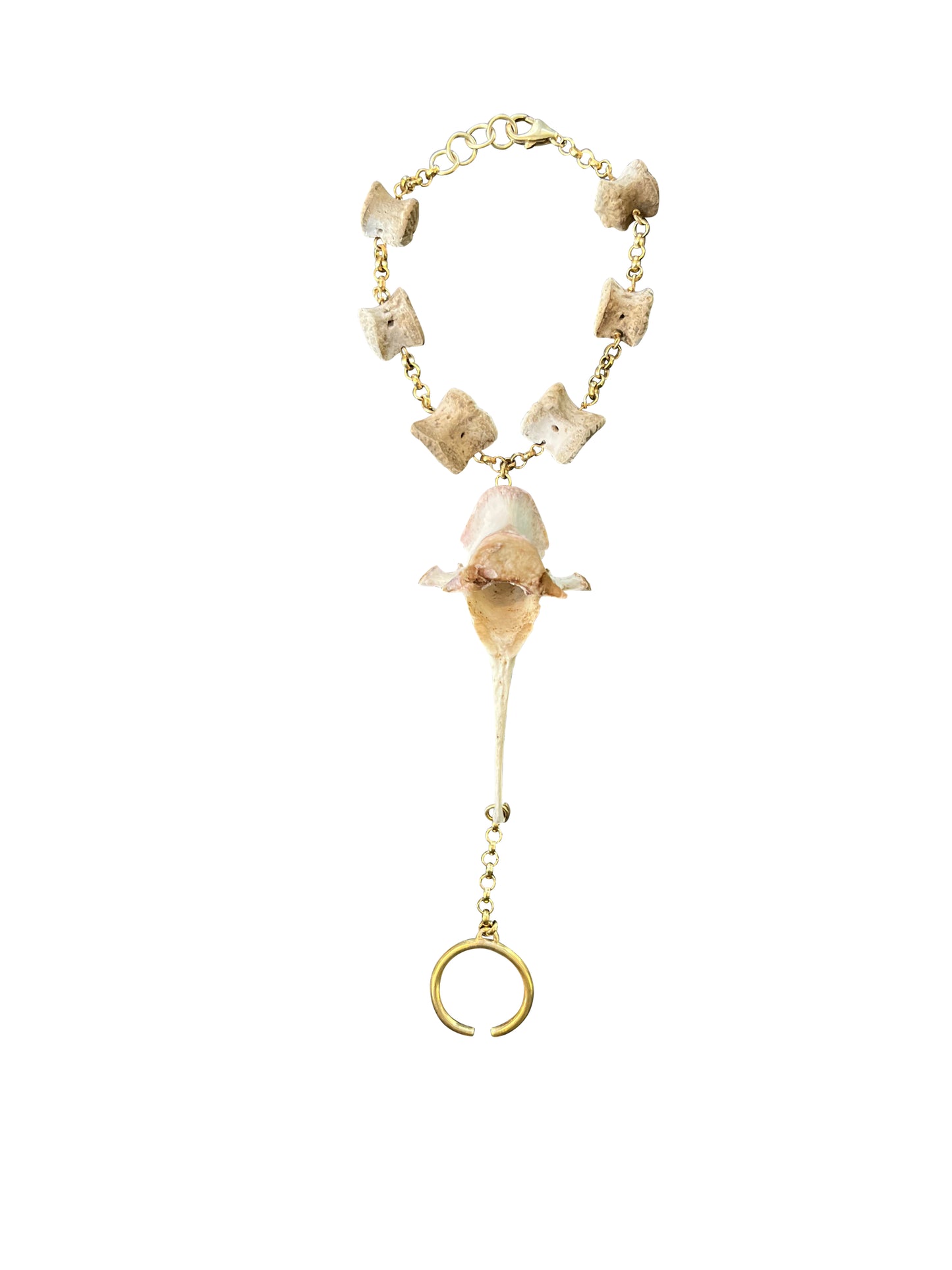 Brass Bracelet with Various Bones and Brass Ring