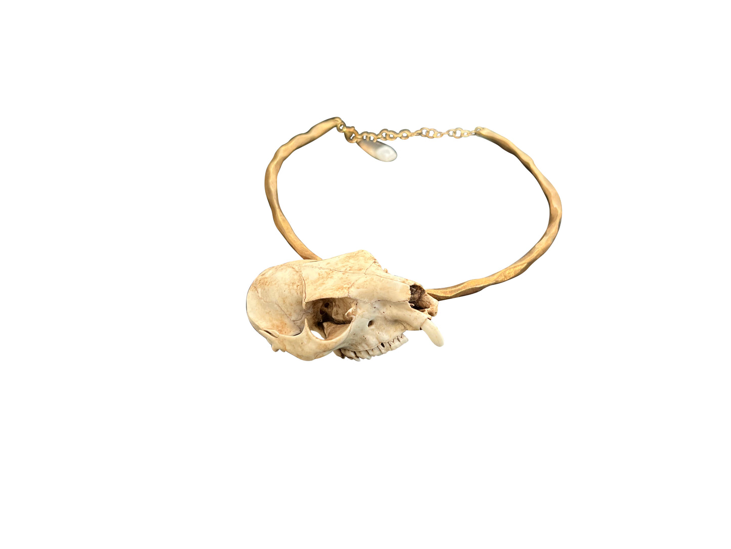 Brass Hoop Necklace with Bone