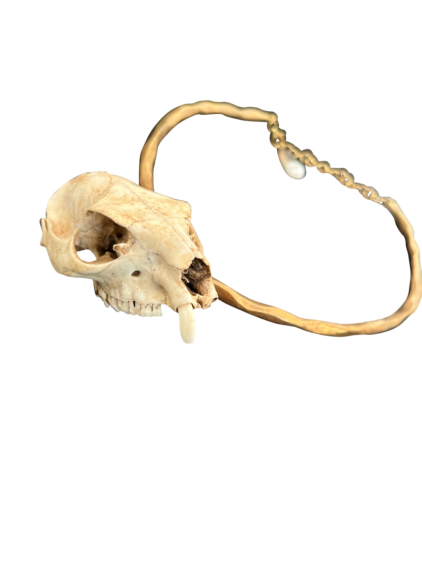 Brass Hoop Necklace with Bone