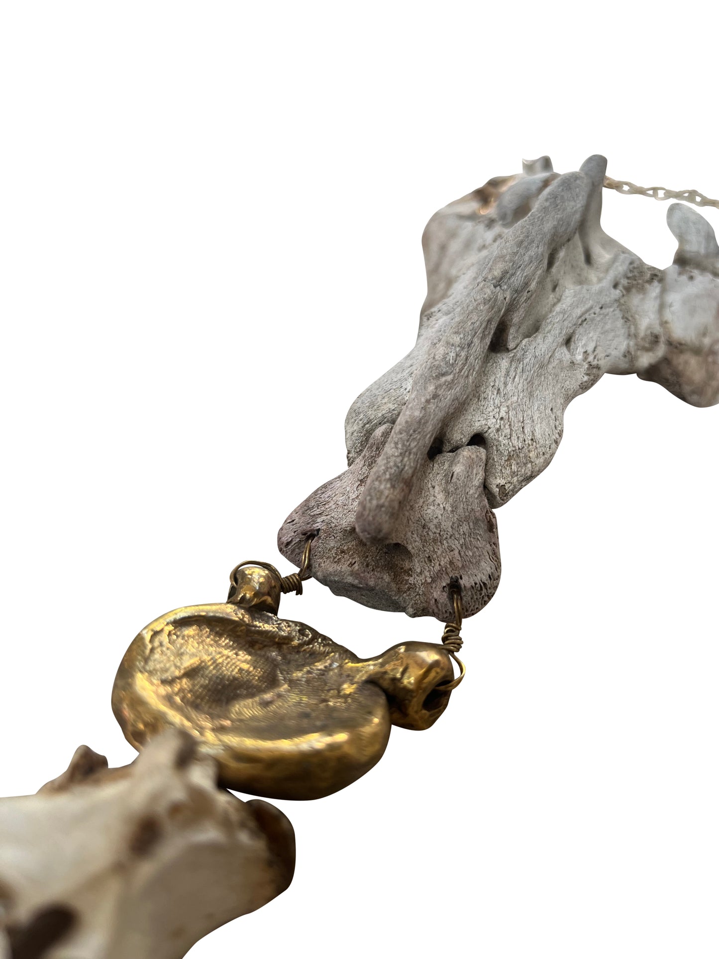 Brass Choker Necklace with Bone and Shark Teeth