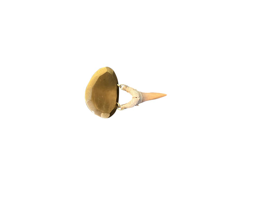 Brass Stud Earring with a Shark Tooth