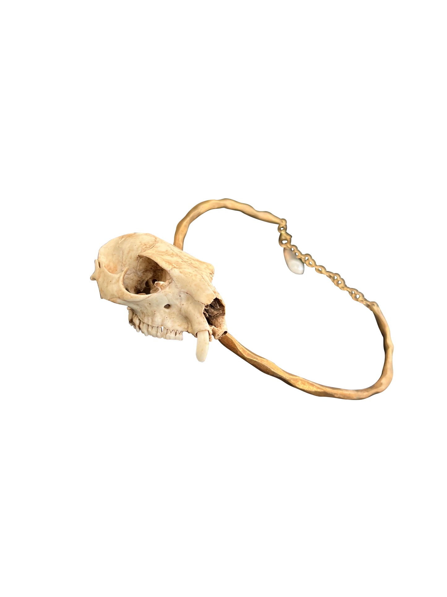 Brass Hoop Necklace with Bone