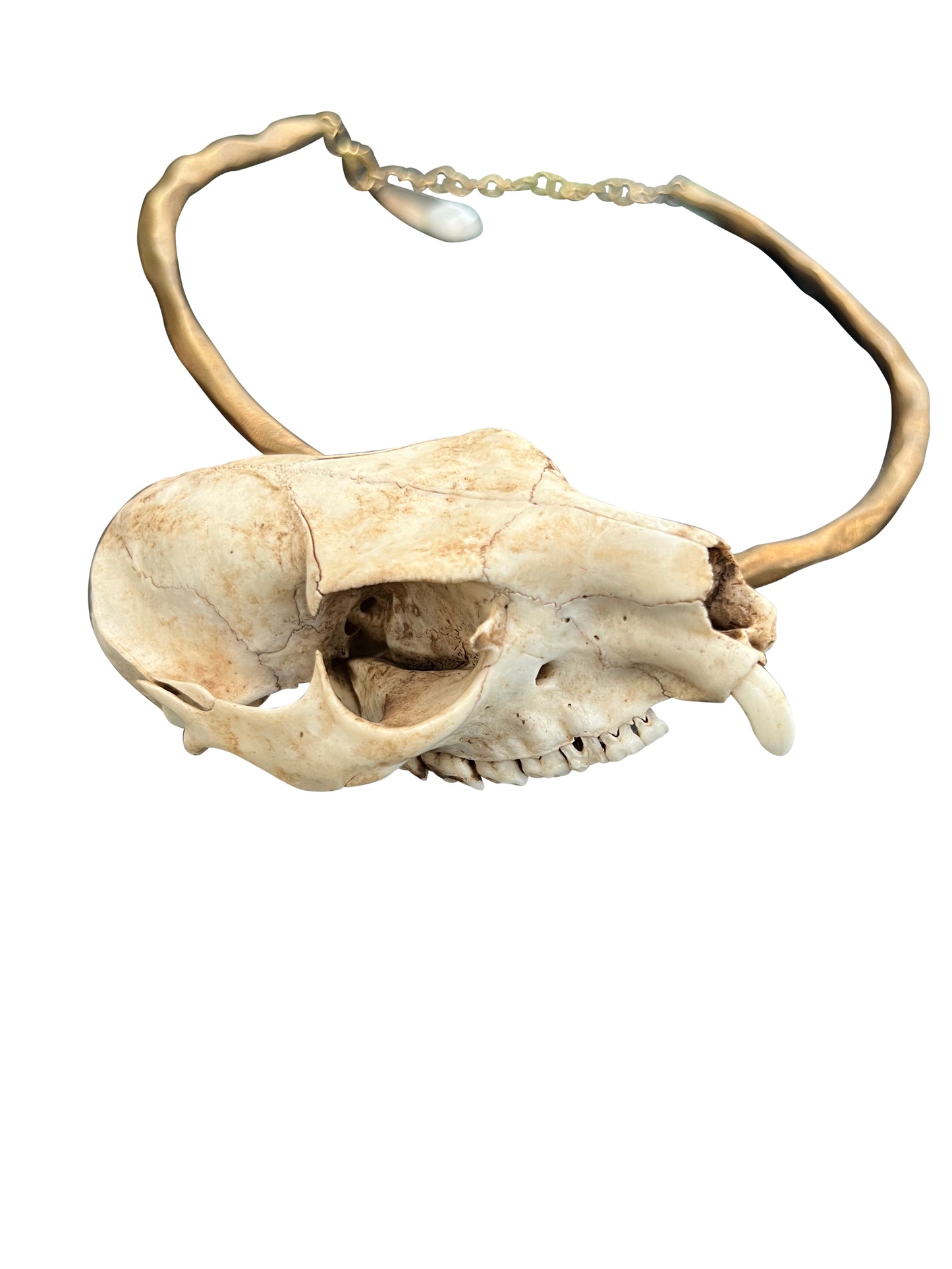 Brass Hoop Necklace with Bone