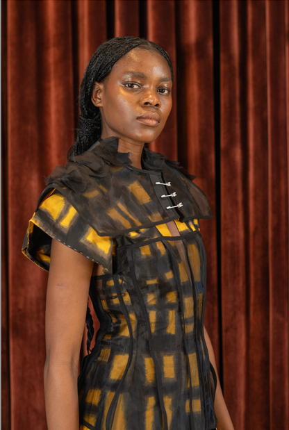 Transparency Shoulder Structure in Zibbon