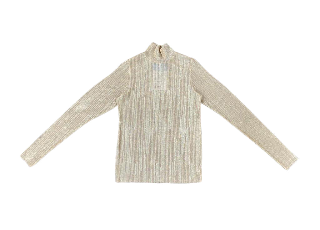Shimmery Gold & Beige Poloneck Top